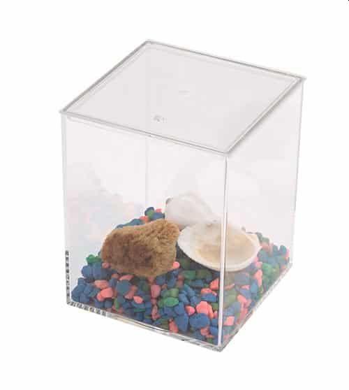 4" x 4" x 5" tall clear display case - Click Image to Close