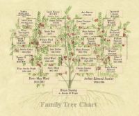 . 1/12 scale Family Tree Ancestral Chart