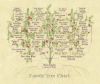 . 1/12 scale Family Tree Ancestral Chart